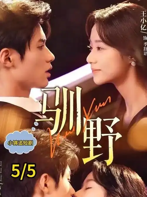 悬疑短剧雾港回声的封面示意，酒红色雾气氛围